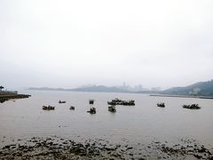 -野狸岛