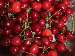 -乐乐鲜果水果超市(河北店)