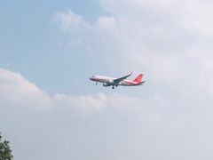 -空港花田景区