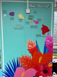 -呼拉汇舞蹈生活馆 Hawaii Hula&Tahiti Dance Studio