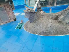 -黄龙溪欢乐田园