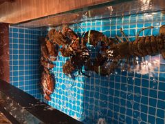 -郑州绿地JW万豪酒店The Grill烤汇扒房
