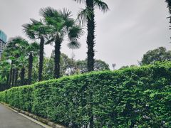 -四川大学(华西校区)