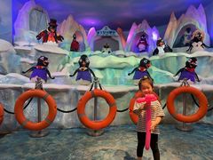 -帝企鹅自助餐厅•儿童岛•真企鹅(长隆企鹅酒店)