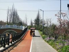 -上海长兴岛郊野公园