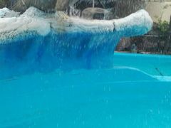 -热带风暴水上乐园(新镇路)