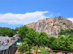 -西霞口神雕山野生动物世界