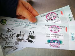 -都江堰中华大熊猫苑