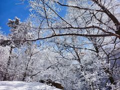 -崂山巨峰游览区