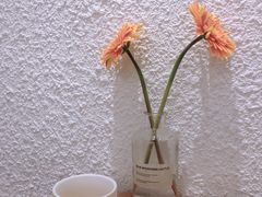 -Cafe on warm(丹霞店)