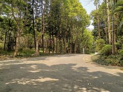 -深圳国际园林花卉博览园