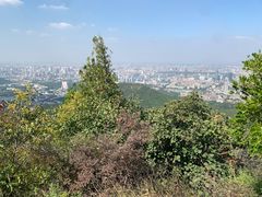 -佛慧山