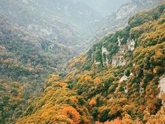 -少华山国家森林公园