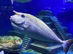 -北海海底世界