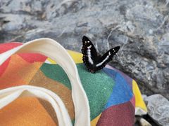 -华蓥山天意谷景区