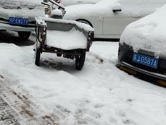 -芦月轩羊蝎子(北蜂窝店)