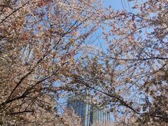 -四里河滨水生态公园