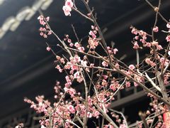 -回龙窝历史文化街区