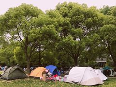 游乐设施-上海共青森林公园