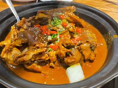 甲鱼牛蛙锅-洪湘记川湘·甲鱼馆(四海凯悦美食广场店)