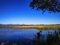 -野鸭湖国家湿地公园