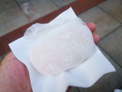 芒果糯米糍-澳门长洲糯米糍(柯打苏沙街店)