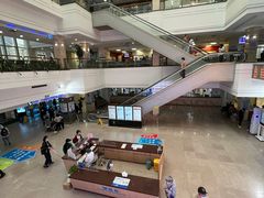 -上海市东方医院(总院)