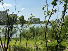 -美兰湖景区