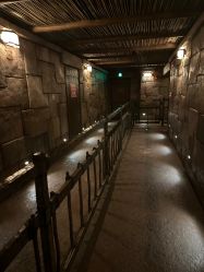 -翱翔飞越地平线