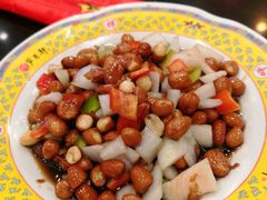 -芦月轩羊蝎子(北蜂窝店)