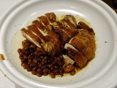 -金戈戈香港豉油鸡(南山海岸城店)