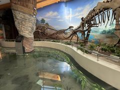 -延庆地质公园博物馆