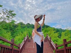 -铁山坪森林公园