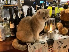 -咖法森林·咖啡  酒吧(天河店)