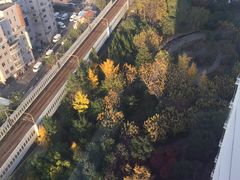 -新湖明珠城