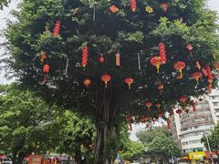 -三坊七巷历史文化街区