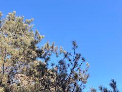 -帽儿山国家森林公园