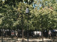 -咸阳湖景区-统一广场