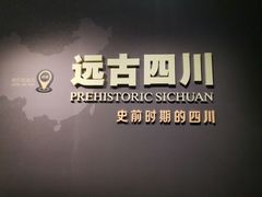 -龙抄手食府(浣花北路店)