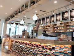 -猫的天空之城概念书店(北戴河蔚蓝海岸店)