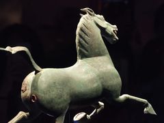 -甘肃省博物馆