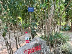 -中国科学院西双版纳热带植物园