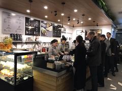 -油梨树 AVOCADO TREE(亮马桥店)