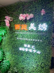 -西施无菌半永久纹绣眉眼影唇轻增发纹发际线