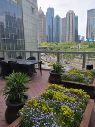 -巍阁高端月子会所