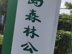-长白岛森林公园