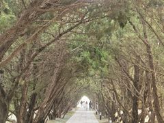 -洛阳古墓博物馆