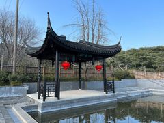 -雨花胜境