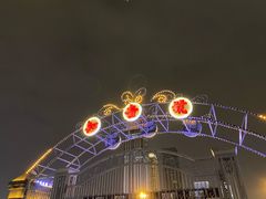 -武汉知音号