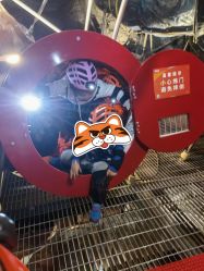 -探洞工场(丹尼斯7天地店)